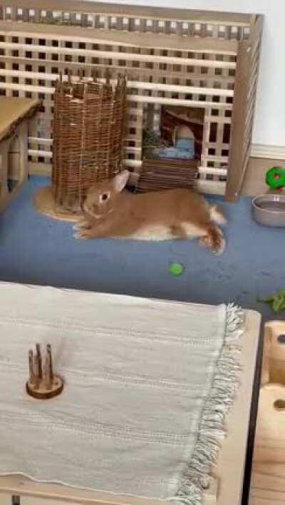 First time I caught a flop from Rasputin!