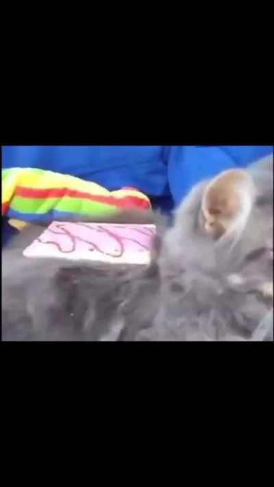 the unstoppable flow of time is cruel