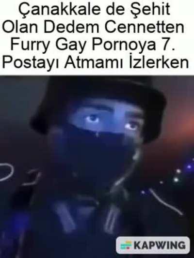 ClumsyKitty - Video #0549