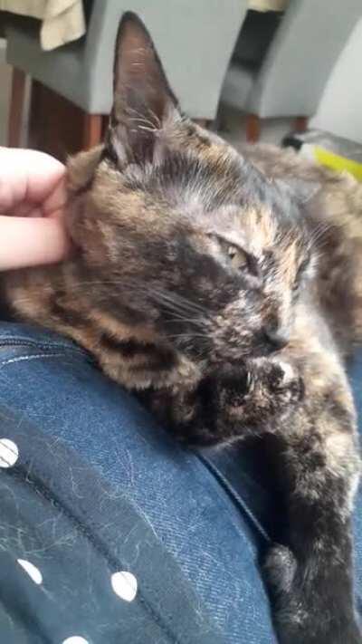 Bathing is hard, I guess