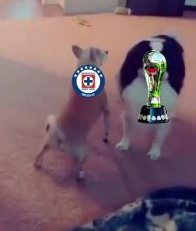 Están tan cerca pero a la vez tan lejos.