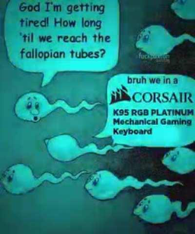 what the keyboard doing