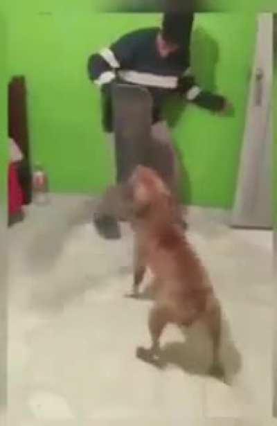 I need a mod that adds this enemy.