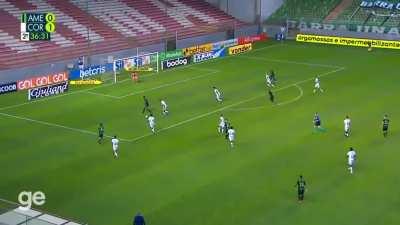 Petardo do Ribamar, estamos criando um monstro.