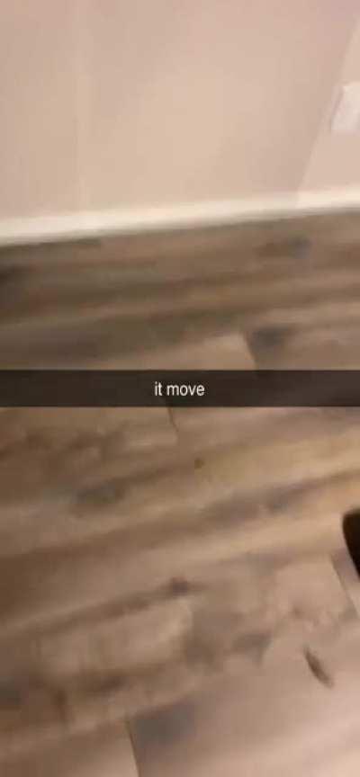 it move