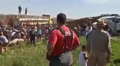 A truck carrying pigs overturned in Córdoba, Argentina and people came to loot and take them. At least wasn't a truck carrying fuel...
