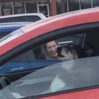 Doggie not waiting any longer