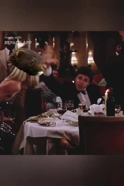 Det er Mettes verden, vi lever bare i den