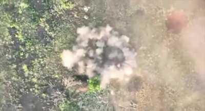 The units of Ukraine’s 10th Mountain Assault Brigade 