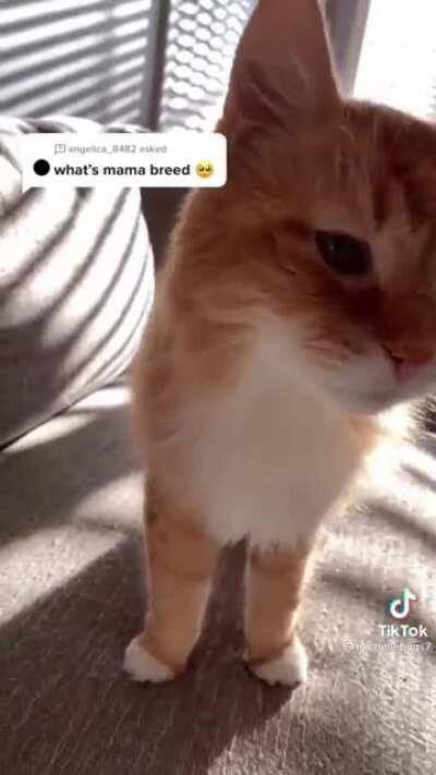 Thanks for the answers Mama!