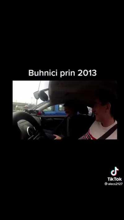 Buhnici 2013