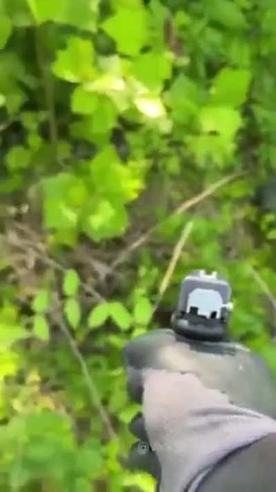 Average YT short smart individual.