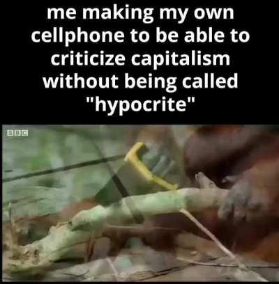 What a lib expects you to do, after they lost the argument