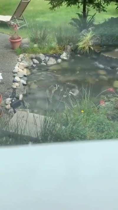 Sacred Trash Spirits