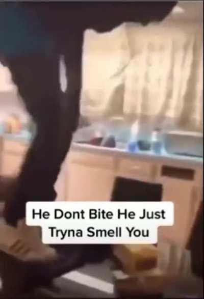 He just wanna smell you