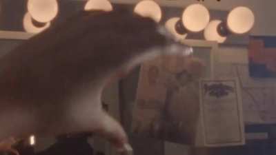 For GQ Magazine via IG 9/21/24 