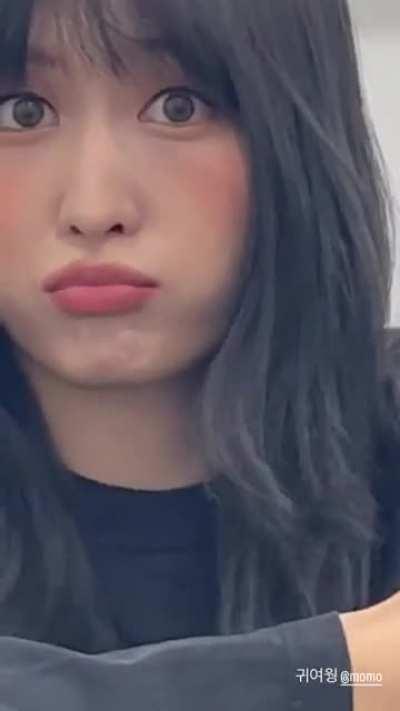 221109 Dahyun Instagram Story Update - 