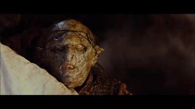 What’s up bitches! I’m an Uruk-hai! Wanna do something with this?