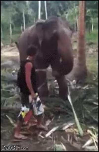 Unwanted touching leads to unwanted injuries.