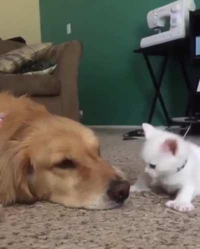 His first punches, so cute tho