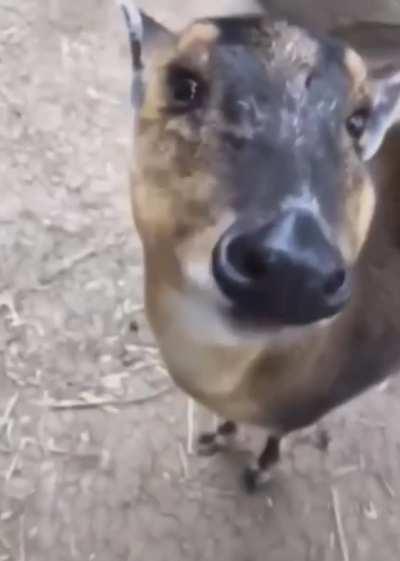 The way he was eating...