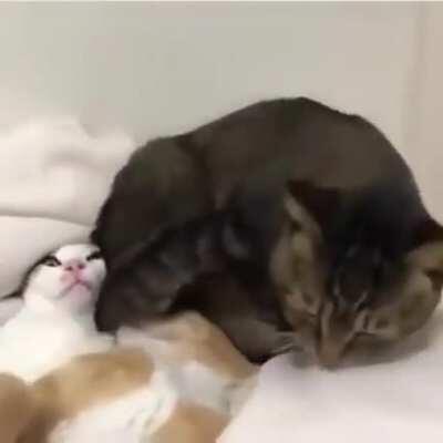 Here .... have a face full of my ass