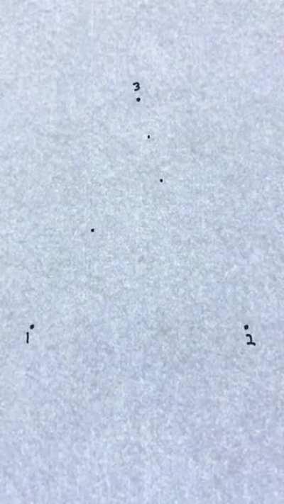 How Sierpinski's Triangle - a famous fractal - originates from a simple rule