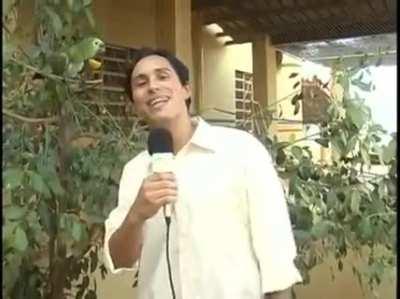 Parrot laughing at reporter