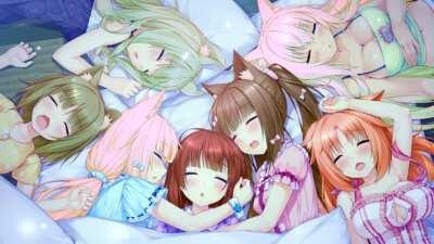 Sleeping Rainbow Nekos