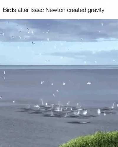 Newton is a murderer