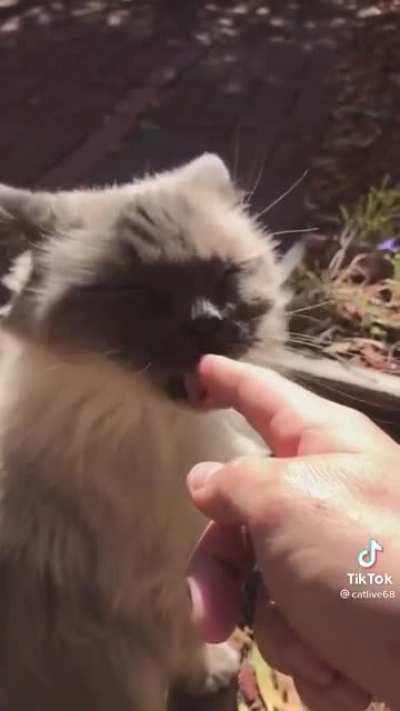 How BPD mood change feels like