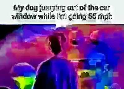 Bob Wicks used to have a dog