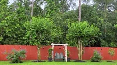 Love soft rain in the woods