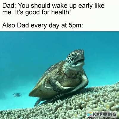 Mom said it's my time to post this meme