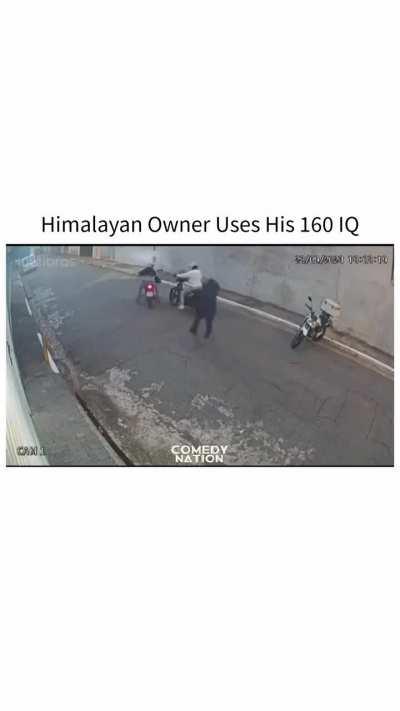 When you use your 100% of brain. 