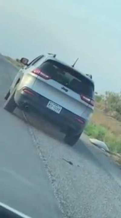 Family abandons their husky on the side of the road