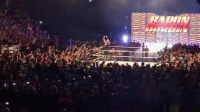 Didn't know Paris was full of Goofies