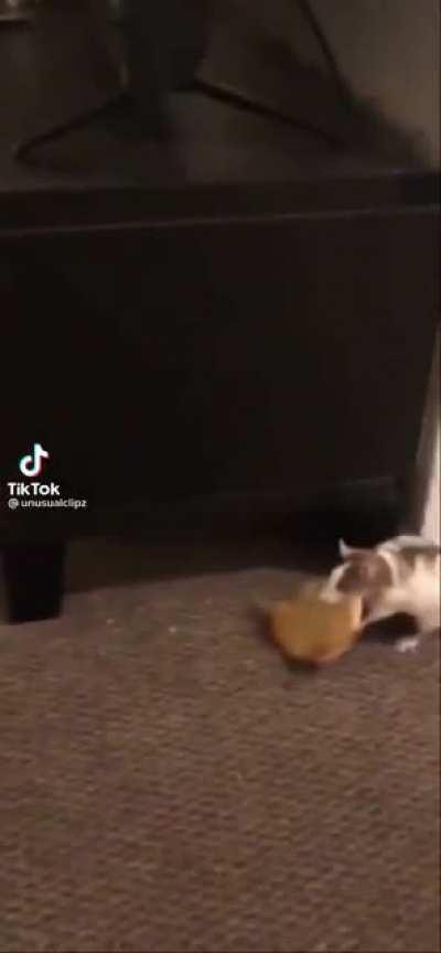 My new favorite video on the internet. She's so cute 😭