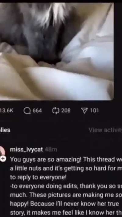 Bro might be big boss