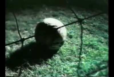 Este comercial es ahora mucho mas relevante (1997)