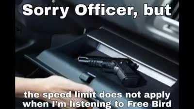 The government killed skynyrd