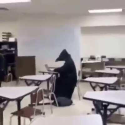 Nadie doctores en la peste negra: