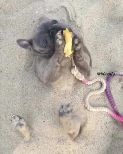 Everything, everywhere and at once