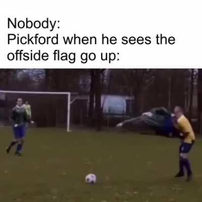 Pickford when he sees the offside flag go up