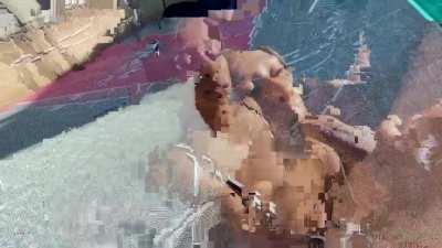 different type a ball game