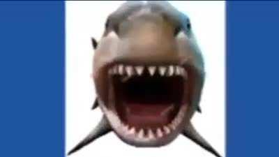 shark jumpscare