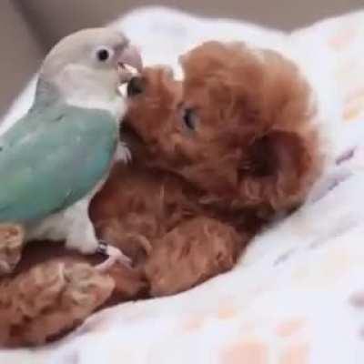 A bit long but by God is it worth every second