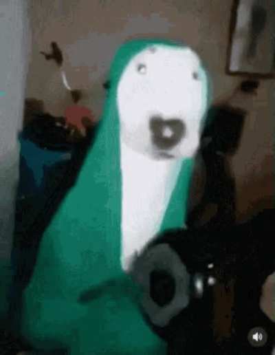 honestly I'm just lookin for memes but I couldn't find a place where people posted this kind of videos lol. Non horny bait memes are fine too tbh