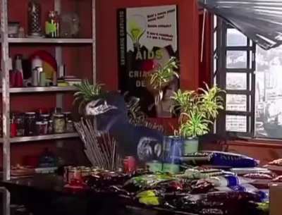 Que diabos é isso, Brasil?