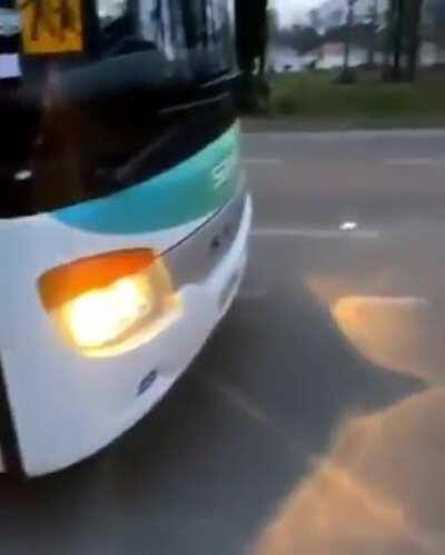 Truckers of the Caribbean